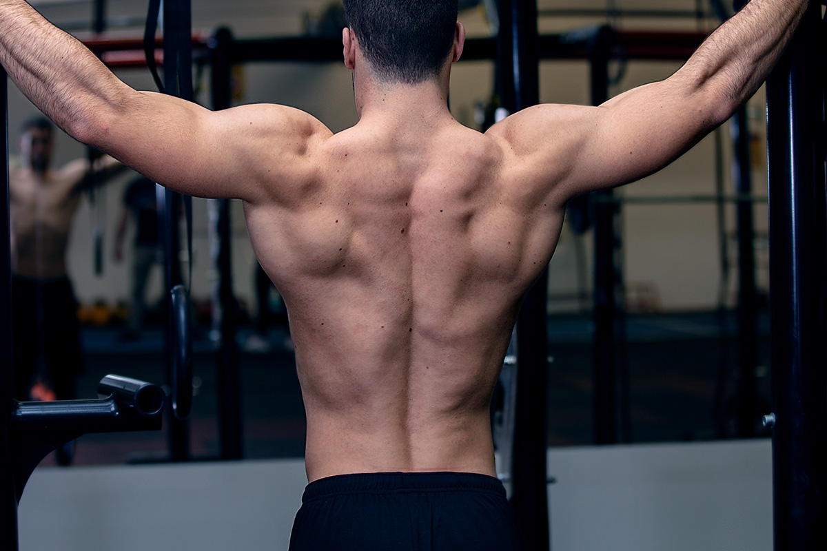 muscular backs