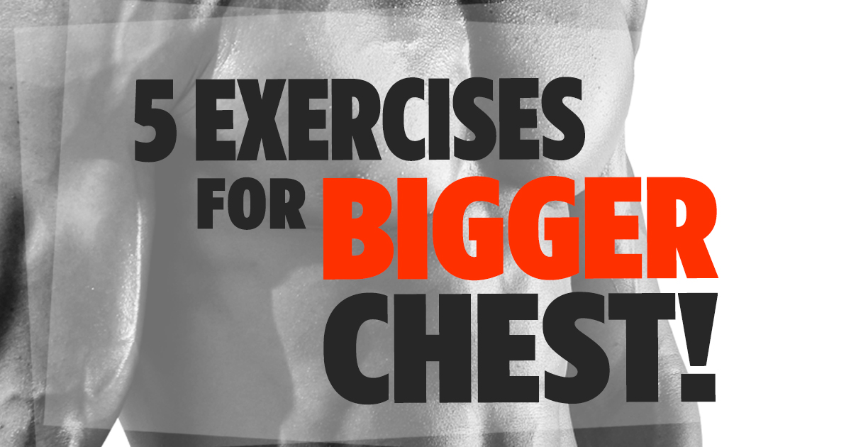 5 Exercises For A Bigger Chest No Equipment