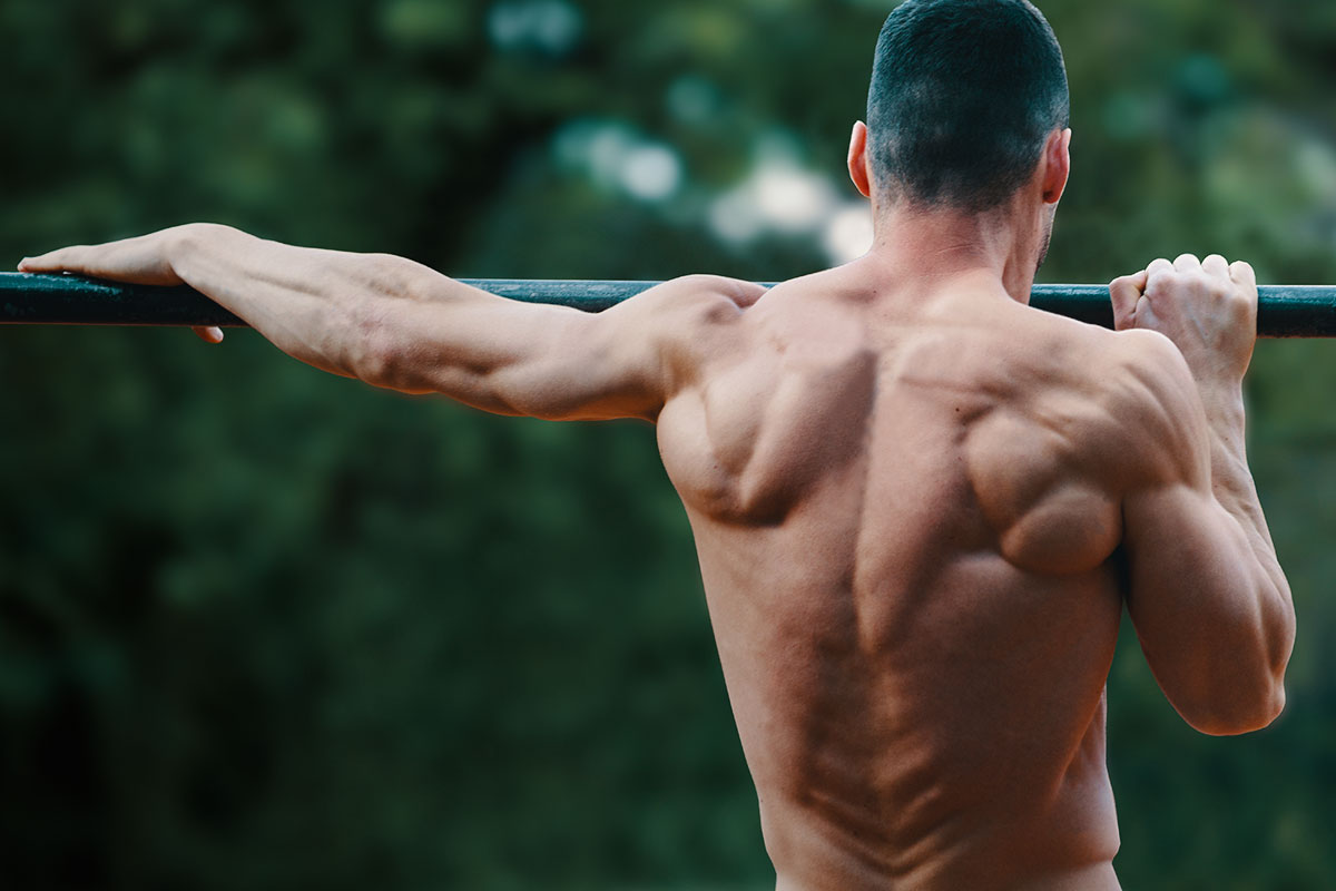 A ripped man, only torso visible in the picture, facing the camera bacwards. He is holding to a bar, and in the backgorund the blurred trees are visible. He is standing in a archer pull up position: his arms holding to a bar, his chin is oer the bar. His right hand bent at elbow, and his left hand is streched straight. His chin is over the bar and to the right. 