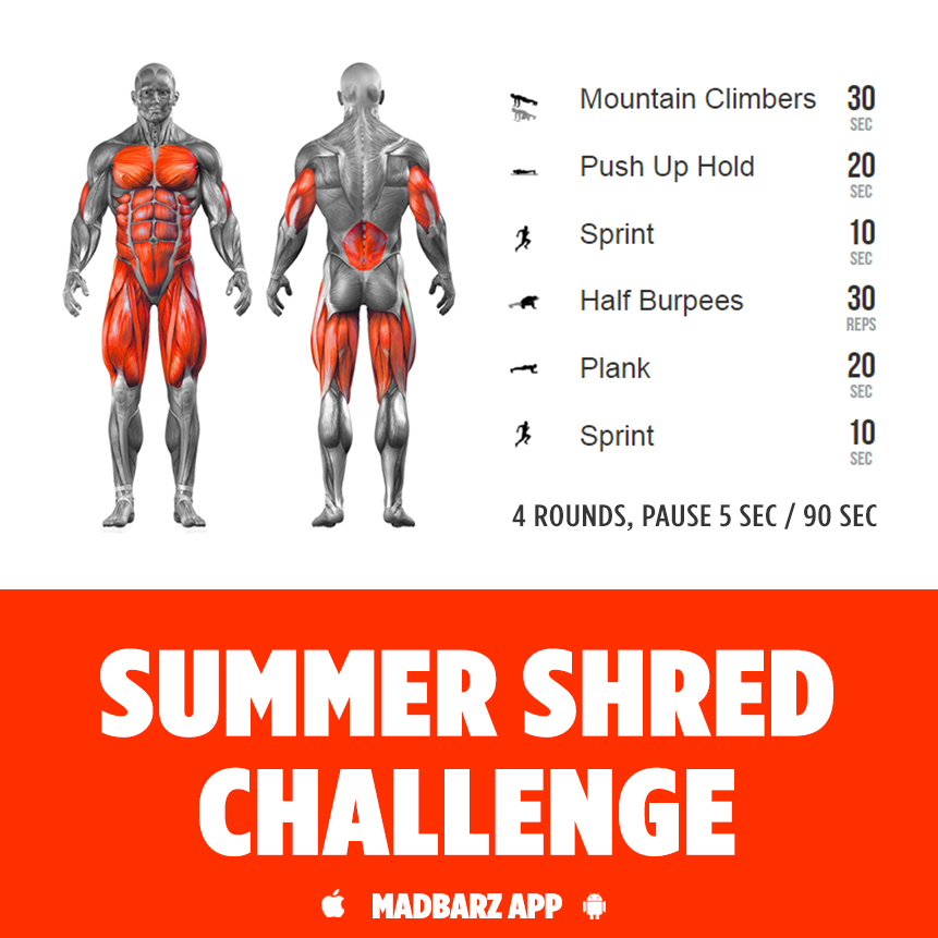 Summer Shredding Madness Workout Challenge 1