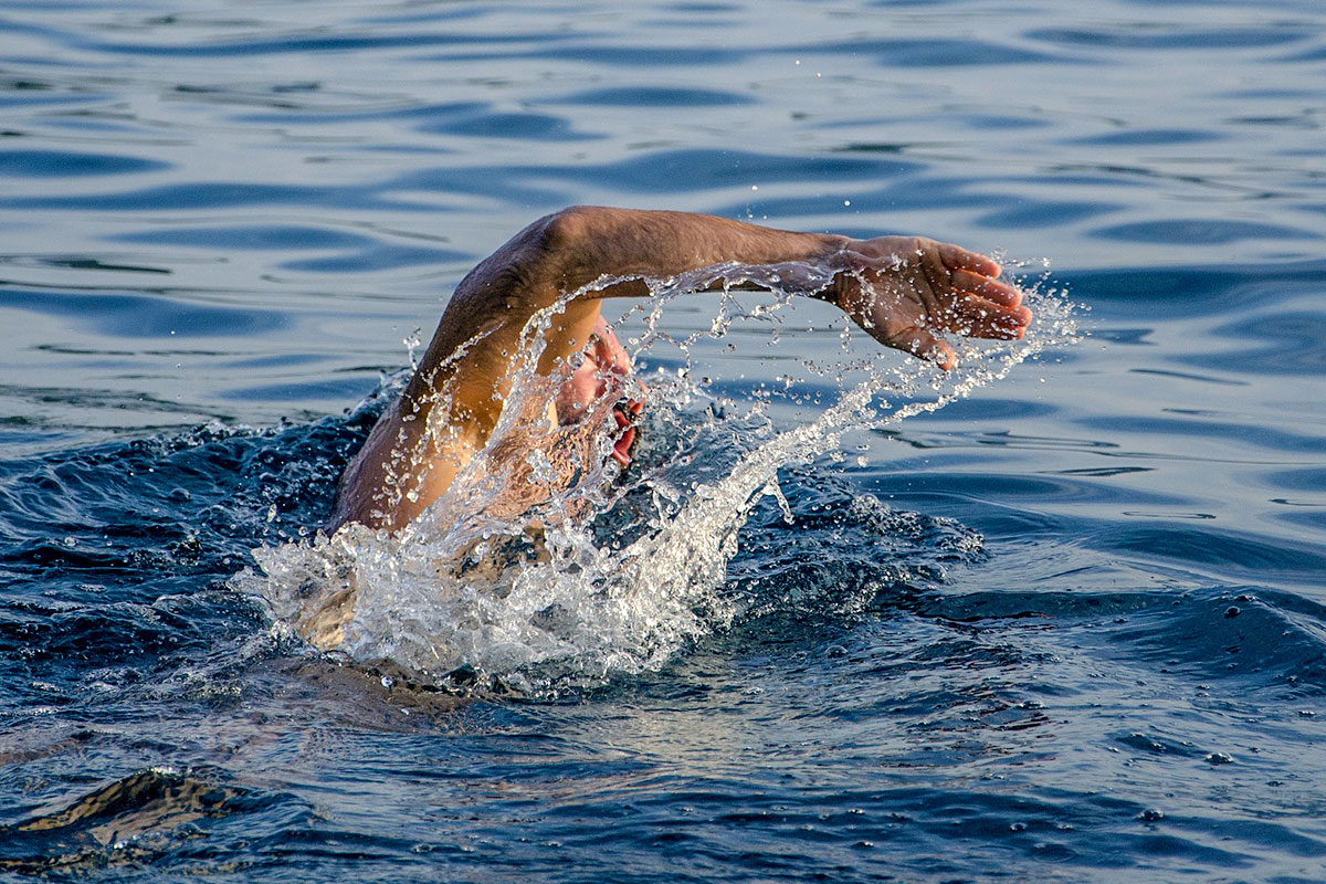 A man swimming front crawl style in the open water.